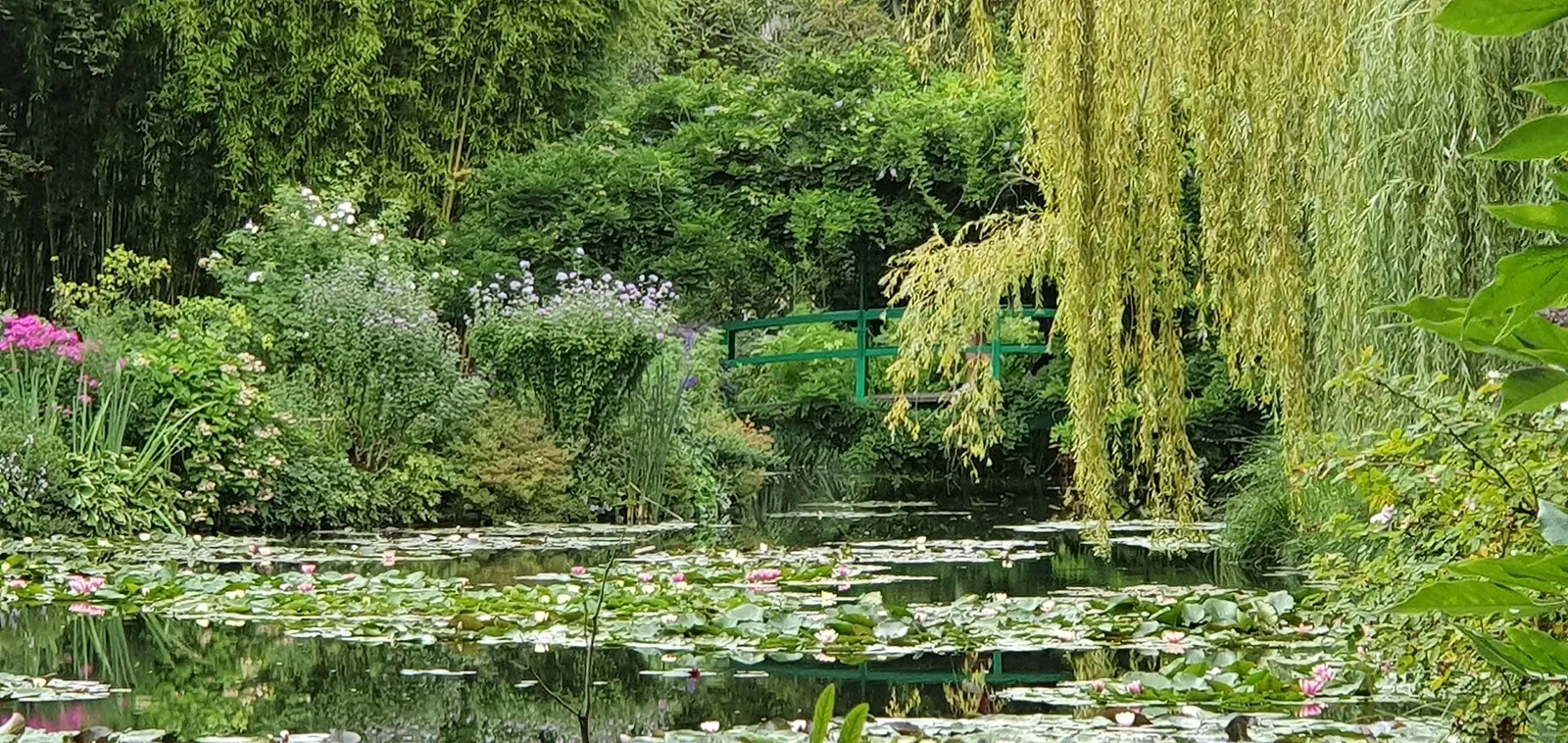 Monet's water lily pond and green Japanese footbridge at Giverny