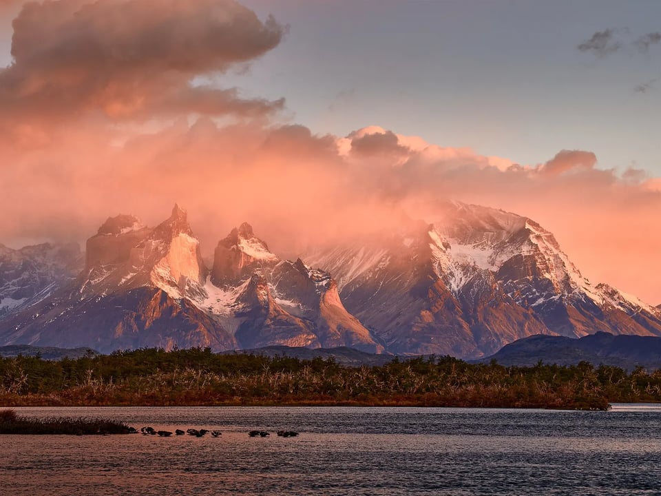 The granite Cuernos del Paine glowing pink at sunrise in Torres del Paine National Park, Patagonia