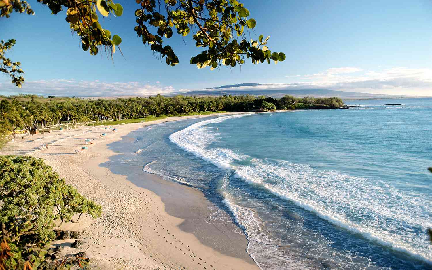 A crescent of golden sand beach lined with palm trees and gentle turquoise waves