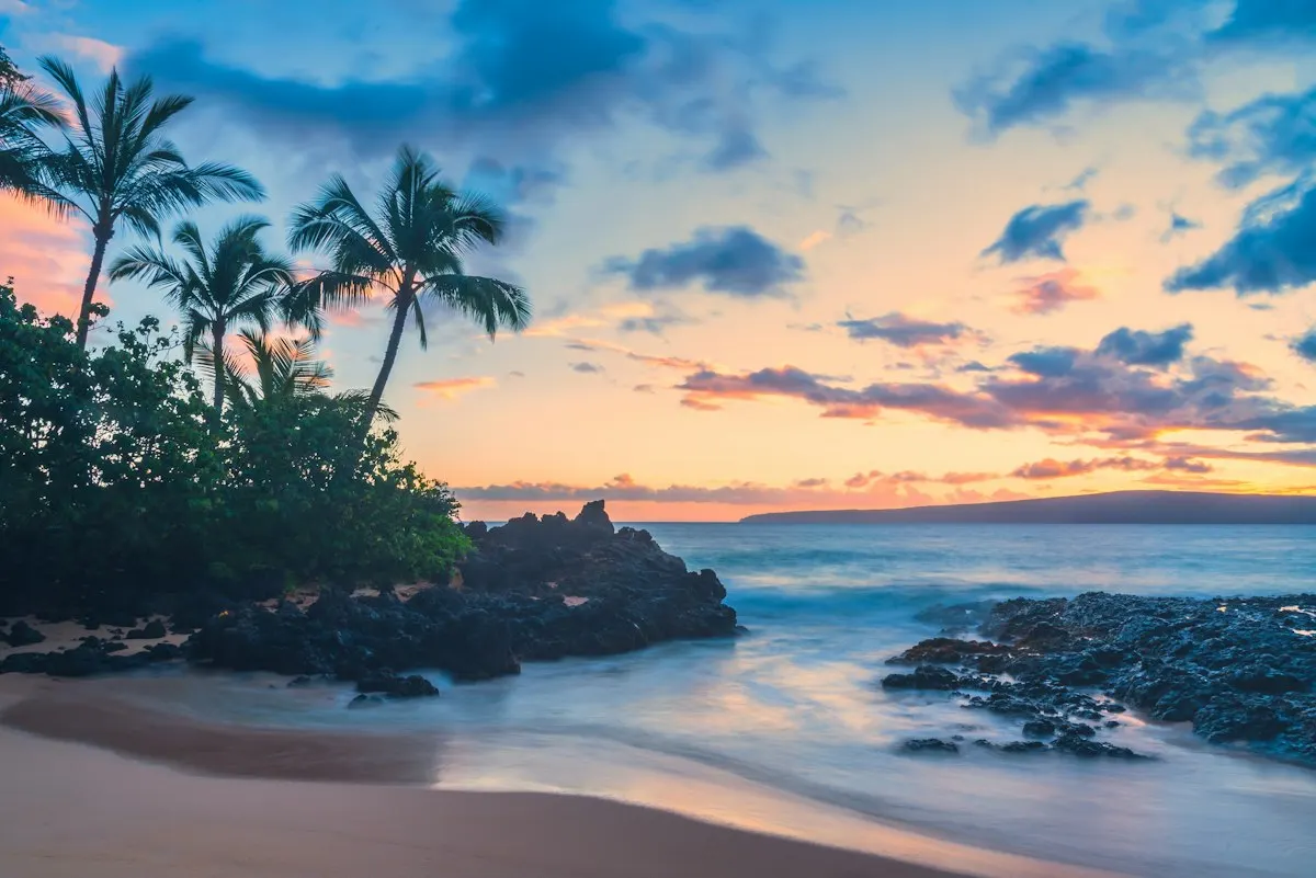 Palm trees and lava rocks on a Hawaiian beach at sunset