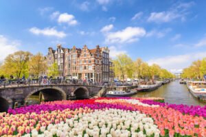 Read more about the article Top Things To Do In Amsterdam