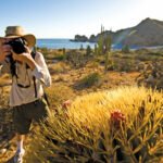 Photographer and giant barrell cactus, Elephant Rock Bay, Santa Catalina Island, Sea of Cortez, Baja California, Mexcio